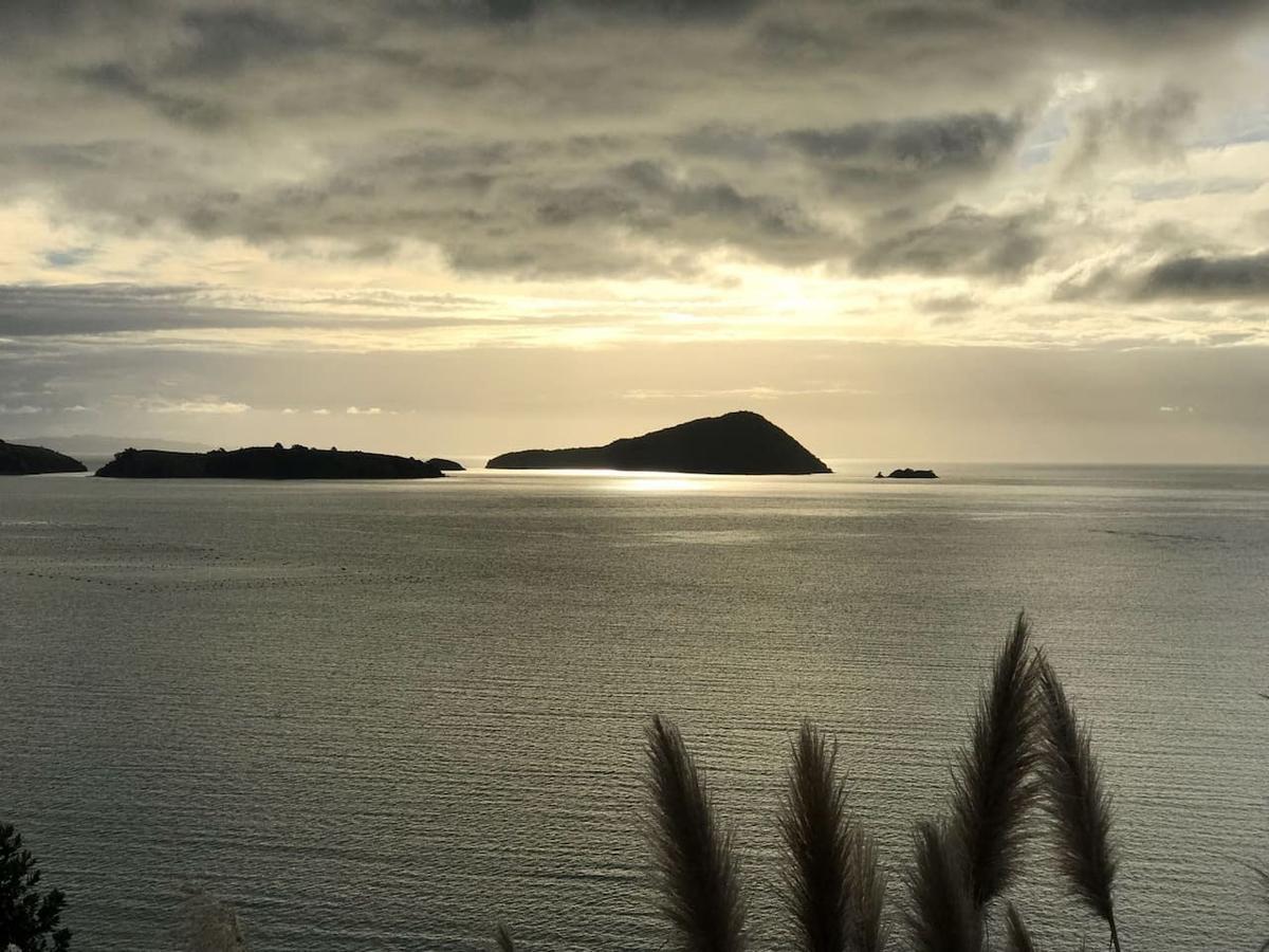 Island View Experience Villa Coromandel Dış mekan fotoğraf