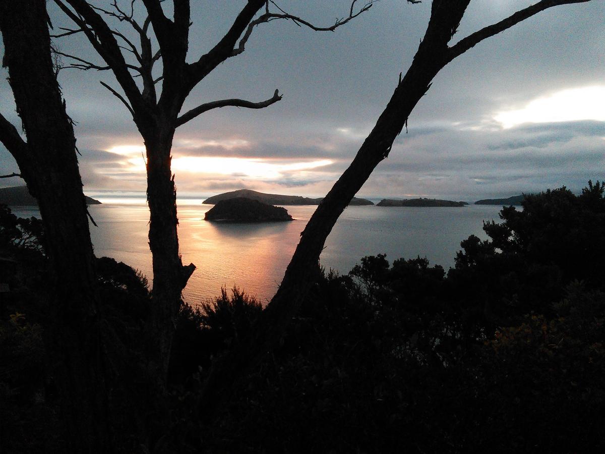 Island View Experience Villa Coromandel Dış mekan fotoğraf