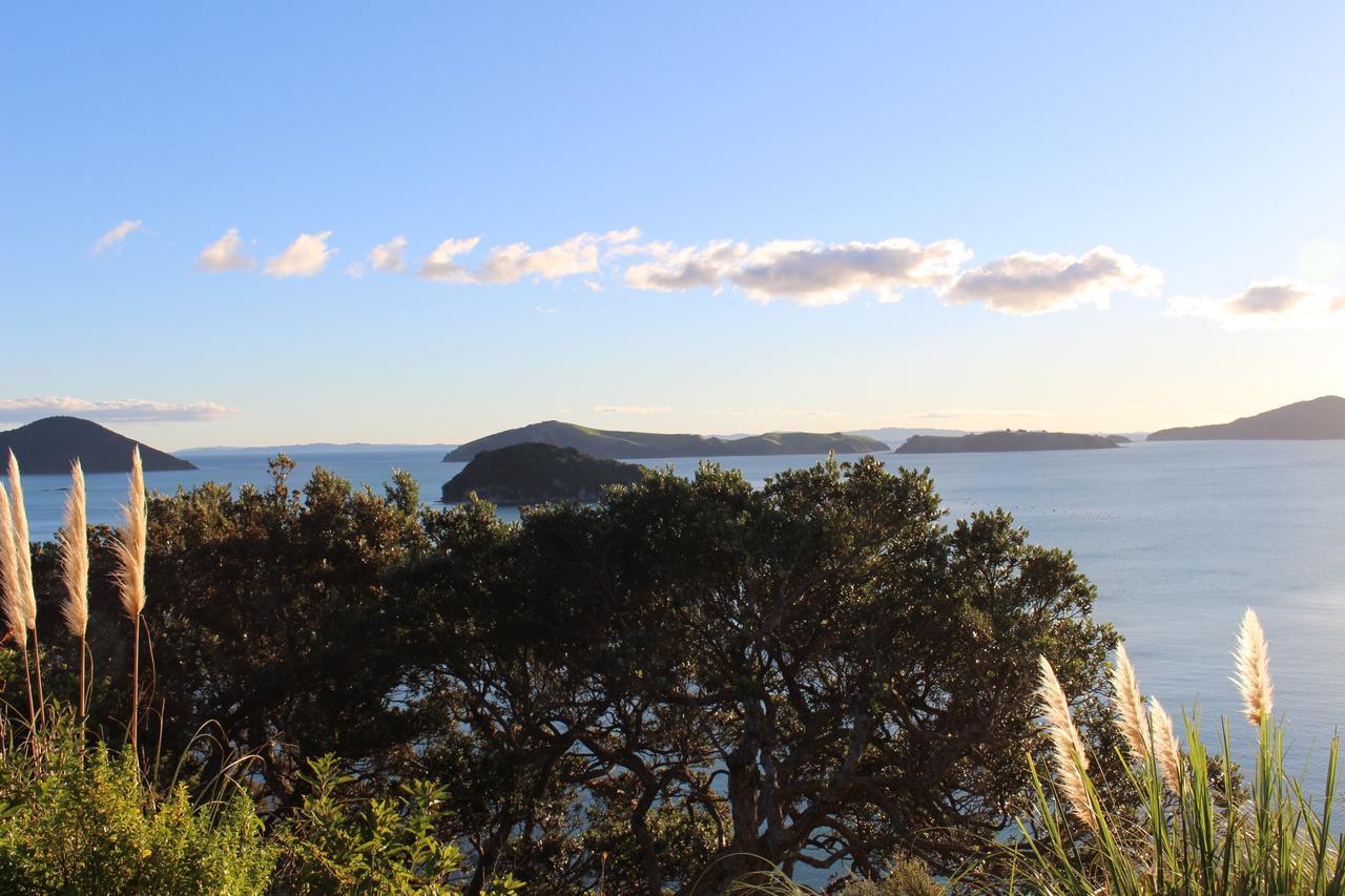 Island View Experience Villa Coromandel Dış mekan fotoğraf